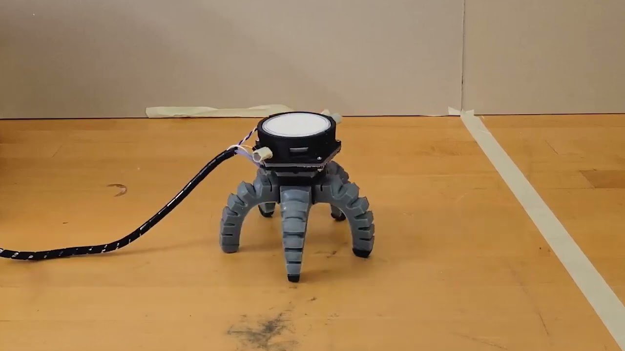 Biohybrid Robots